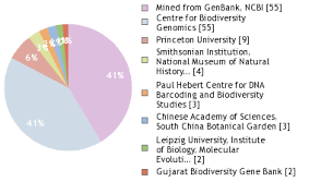 Image result for Dombeya shupangae
