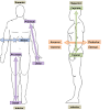 Related posts of anatomical position diagram. 1