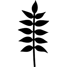 Free Icon Plant Branch With Leaves