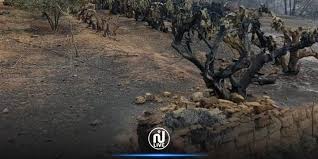 أتمنى لفرجاني ساسي التوفيق في المرحلة المقبلة. Kovcpxzi5ldzum