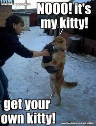 Funny Animals Funny Animal Jokes Funny Animal Quotes Animal Jokes