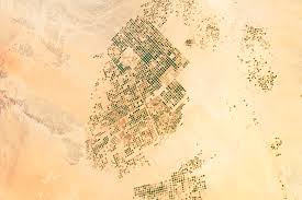 الزراعة في السعودية ويكيبيديا