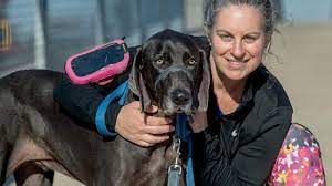 Cancer is a topic that no pet parent wants to think about. After Being Diagnosed With Colon Cancer At 40 A Peoria Resident Is Raising Awareness
