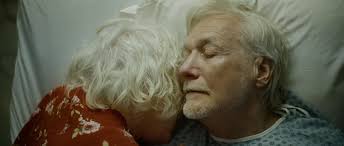 Narrative — Director — Michael Marantz