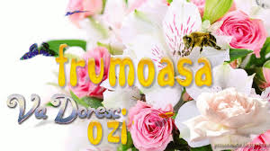 Va doresc o zi frumoasa! Imagini Miscatoare Gifuri Cu Sclipici Stralucesc Blog Informatii Urari Mesaje Felicitari Zi Nastere VÄ Doresc O Zi FrumoasÄ Citate Imagini