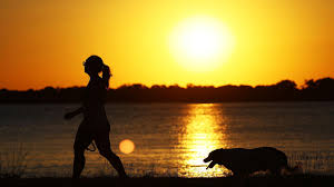 Till death do us bark: Brazilian state lets pets be buried with owners