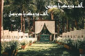 .وأنا عيني عليها في ذهابها وإيابها وبعد الانتهاء من الغذاء قلت لصلاح: ØµÙˆØ± Ù…Ù†Ø§Ø³Ø¨Ø§Øª Ø¥Ø¬ØªÙ…Ø§Ø¹ÙŠØ© Ù„Ù„ØªÙ‡Ù†Ø¦Ø© Ø¬Ù…ÙŠÙ„Ø© Ø¬Ø¯Ø§