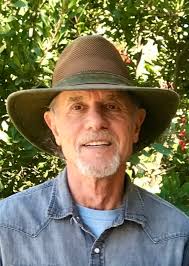 Herbal Tools for Tumultuous Times” － A Garden Workshop with Carol Wade