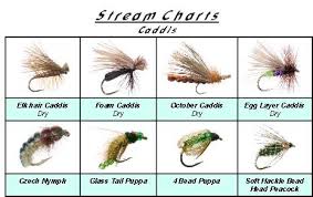 Fishing Flies Identification Stream Charts Are Your On The