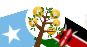 Bank transfers will be faster and cheaper. Bitcoin S Role In The Third World Economy