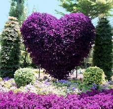 Purple is one of the most popular colours in the garden. 25 Vertical Landscaping Ideas Adding Spectacular Centerpieces To Backyard Designs Beautiful Flowers Beautiful Gardens Purple Flowers