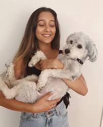 Duru Adli Kullanicinin Dog Pic Panosundaki Pin Unluler Fotograf