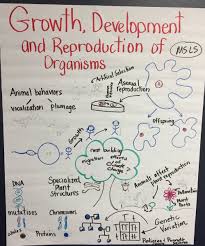 This fact distinguishes animals from fungi, protists, and bacteria, where asexual reproduction is common or exclusive. Ms Ls1 4 The Wonder Of Science