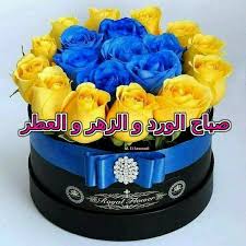 صباح الورد و الزهر و العطر