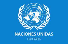 .(onu) sobre el derecho a la libertad de reunión pacífica y de asociación, clément voule, expresó este lunes su preocupación por la represión a las manifestaciones en colombia. Directorio Naciones Unidas Colombia Cinu