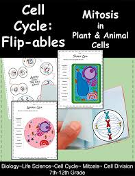 A typical eukaryotic cell divides once in approximately every 24 in animals, mitotic cell division is only seen in the diploid somatic cells. Free Printable Flip Booklet On Cell Division Homeschool Giveaways