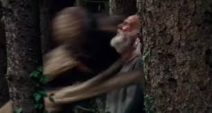 In the monster manual, it's pretty rare that a monster has more than 18 dexterity with the exception of celestials, elementals, and fiends (and the demilich for some and that's how we make the monsters from a quiet place. John Krasinski New Movie A Quiet Place Box Office In China Is Poor Original Articles Linkeddb