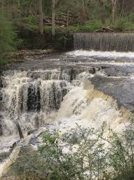 The 10 Best Things To Do Near Tims Ford State Park Winchester