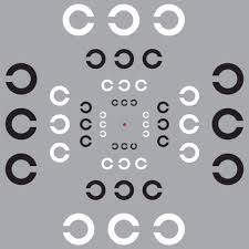 「" 	 crowding」的圖片搜尋結果