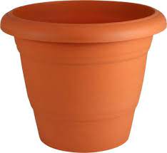 Check spelling or type a new query. Divine Tree Round Plastic Flower Pot Plants For Garden Indoor Outdoor Gardening Pots Pack Of 1 Terracotta 18x18x16 Inch Plant Container Set Price In India Buy Divine Tree Round Plastic Flower