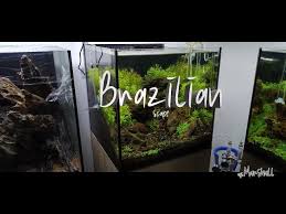 Brazilian style aquascaping was popularized in recent years by well known competition aquascapers in brazil such as andre longarco and luca galarraga who used colourful, dense stem plant bushes to line long rock ridges in their aquascapes. Aquascaping The Lost Part 2 Litetube
