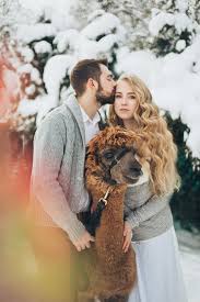 See more ideas about couple aesthetic, ulzzang couple, korean couple. Cute Couple Photoshoot Llama Snow Blonde Winter Cute Photo Shoot Of Couple 3091472 Hd Wallpaper Backgrounds Download