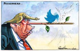 Your twitter and facebook accounts will now be linked. Political Cartoon On Twitter Dave Brown S Independent Cartoon Trump Twitter Facebook Trumptwitter Twitterbanstrump Covid19 Coronavirus Political Cartoon Gallery In London Https T Co Depctdnxf6 Https T Co Qjv7jshrto