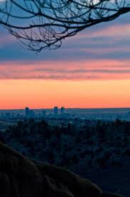 The View From My Neck Of The Woods