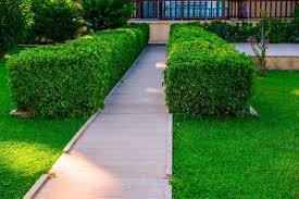 Let our experienced lawn care crews take care of your yard. Aeration Services Near Me Lawn Care