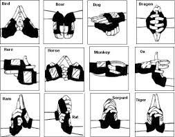 Below you can find out all about these seals and also different combinations to perform different types of attacks. How To Basic Naruto Hand Signs Naruto Amino