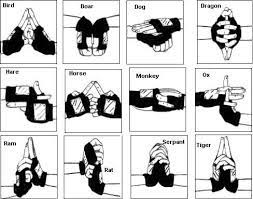 You will have to bend your elbows in order to bring. How To Basic Naruto Hand Signs Naruto Amino