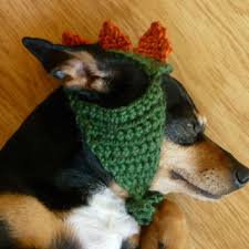 Fast, free shipping · free returns · prices 10/10 · service 10/10 Hat For Dog Crochet Pattern Dinosaur Hat From Zxcvvcxz On Etsy