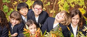 Bogaerts International School: Details and Fees