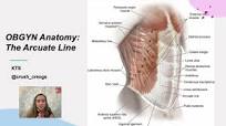 OBGYN Anatomy: The arcuate line