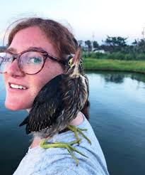 Meet the Bird Whisperer of Hatteras Village