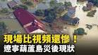 Gallery Thumbnail