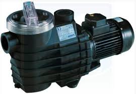 Pompe De Filtration Kripsol Delfino Aep 1 Cv 15 M3 H Monophase H2o Piscines Spas
