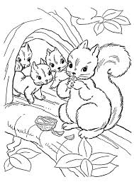 Click on the image you want to color, this will open page displaying large picture you selected. Parentune Free Printable Squirrel Coloring Pages Squirrel Coloring Pictures For Preschoolers Kids