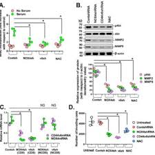 Kos bahan mentah, kos buruh langsung, duti atas. Pdf Tgf Beta 1 Induced Cd44v6 Nox4 Signaling In Pathogenesis Of Idiopathic Pulmonary Fibrosis