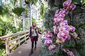 Kirstenbosch national botanical garden is acclaimed as one of the great botanic gardens of the world. Best Botanical Garden Winners 2020 Usa Today 10best