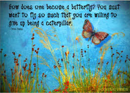 Enjoy our collection of 1000 most popular quotes selected by hundreds of voting visitors! Caterpillar To Butterfly Quotes Quotesgram