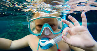We did not find results for: Snorkeling Evasioni Blu Diving