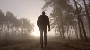 Hiking Walking Man Free Stock Video - Pixabay