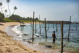 Buy and sell new and used cars with autome, the fastest growing largest digital automotive marketplace in sri lanka. Kayak For Sale Sri Lanka Kayak Explorer