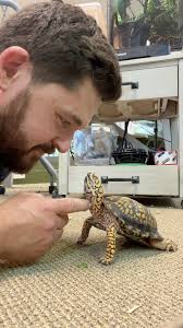 OTIS does NOT Back Down. 😳