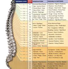 Nerve Function Chart Remedies Pinterest Sciatic Pain