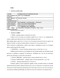 Zona metropolitana cluj 26 km. Doc Italia Pohrib Nicoleta Academia Edu
