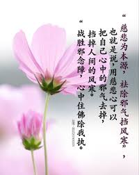 pin by vivian on 佛言佛語圖in 2021