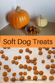 Soft Peanut Butter And Pumpkin Dog Treats Recipe Dog Treats Homemade Recipes Pumpkin Dog Treats Healthy Dog Treats Homemade