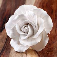 By liana kembang tart (indo) 1394 reviews |. Extra Large Garden Roses White Caljavaonline